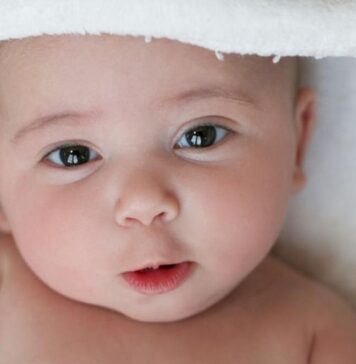 The Promise and Challenges of In Vitro Fertilization