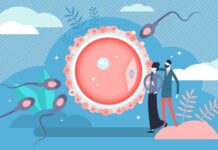 How To Keep Your Reproductive System Health & Why