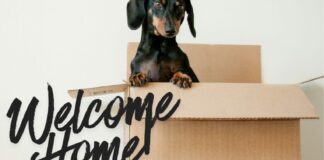 Living With Parents as a Young Adult: The Unexpected Bonus