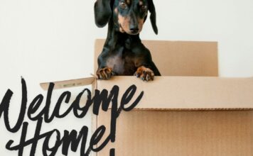 Living With Parents as a Young Adult: The Unexpected Bonus