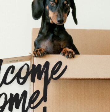 Living With Parents as a Young Adult: The Unexpected Bonus