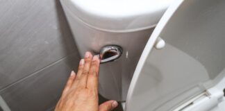 What to Know About Shigella